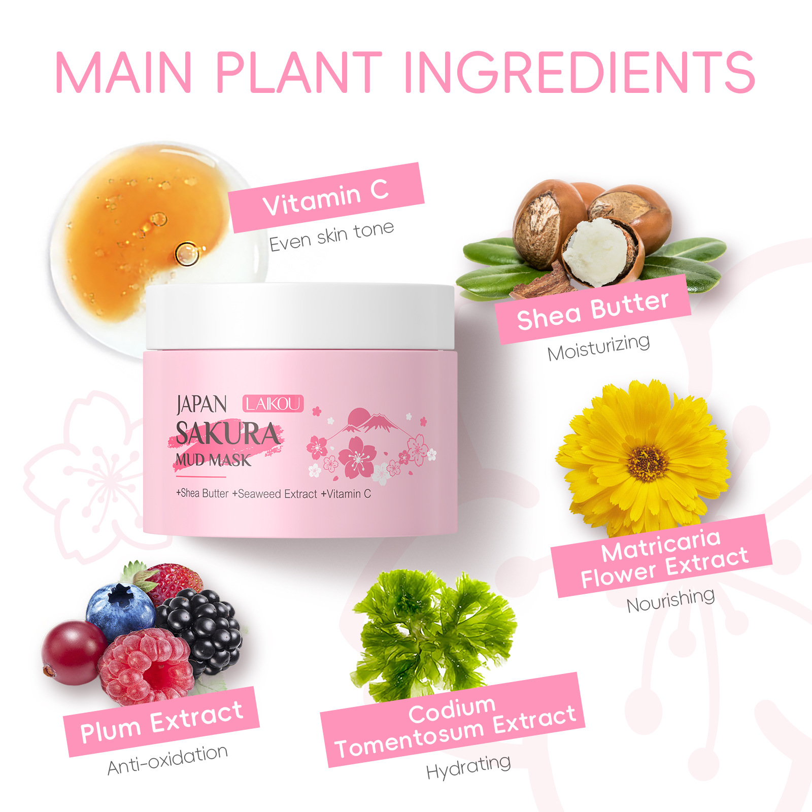 LAIKOU Sakura Clay Mask 25g 90 - Dust Mask Construction のレビューと価格